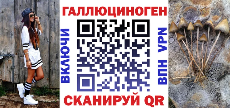 цены наркотик Кашин Галлюциногенные грибы мицелий