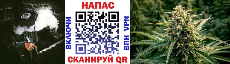 Каннабис план Кашин